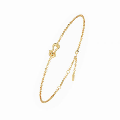Unbroken Bracelet Lock