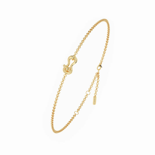 Unbroken Bracelet Lock